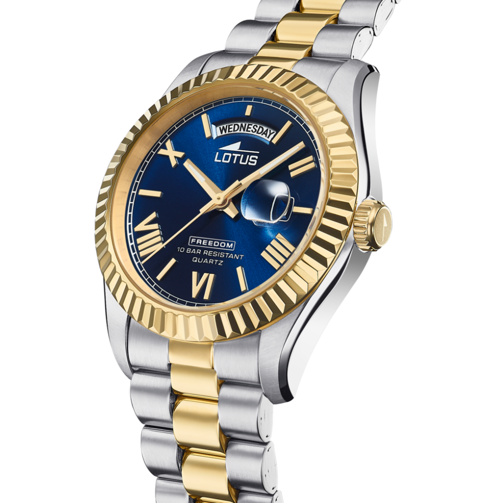 Montre Homme Freedom Bicolore Profil